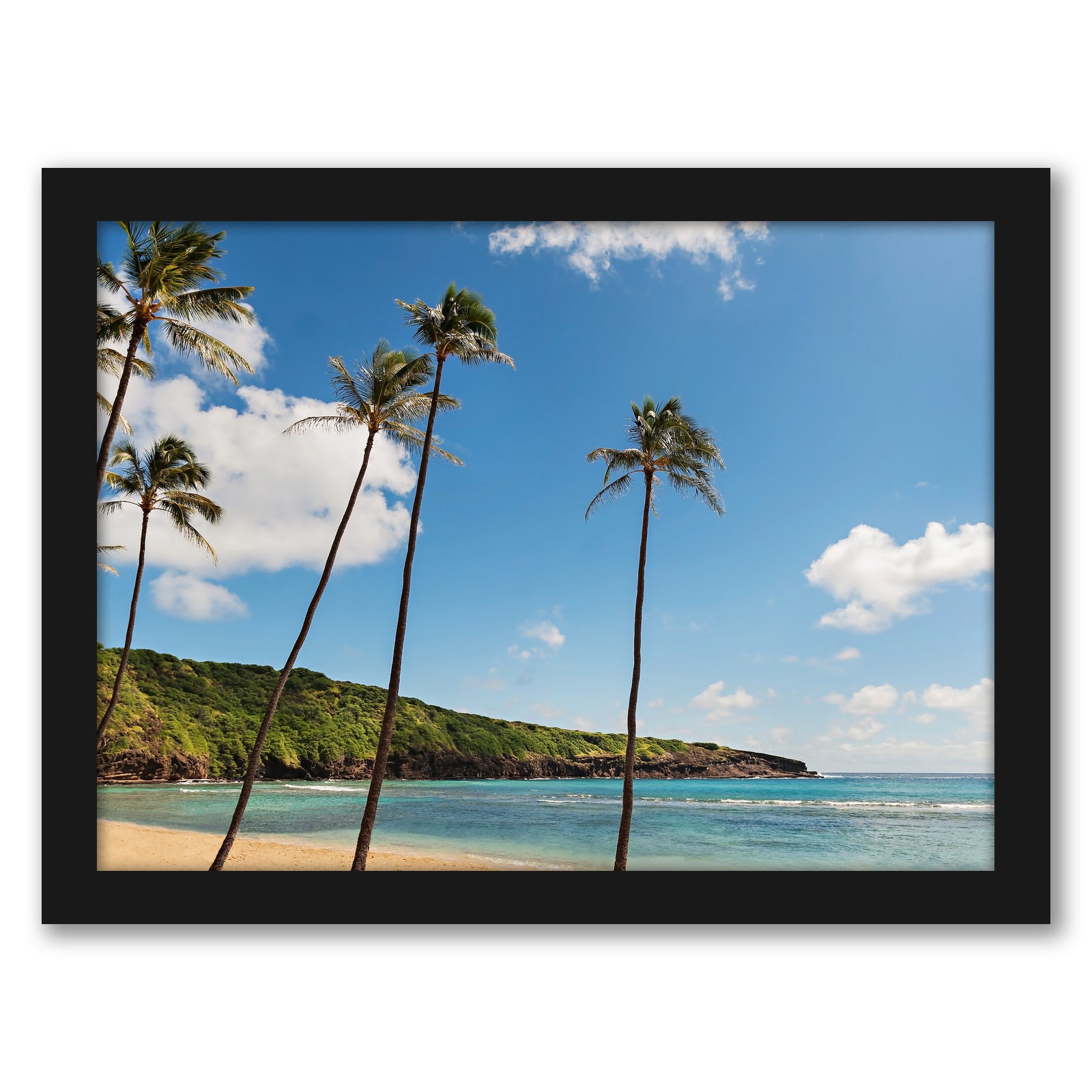Hanauma Palms by Amanda Abel - Black Framed Print - Wall Art - Americanflat