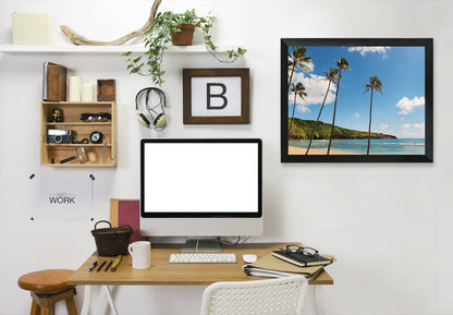 Hanauma Palms by Amanda Abel - Black Framed Print - Wall Art - Americanflat