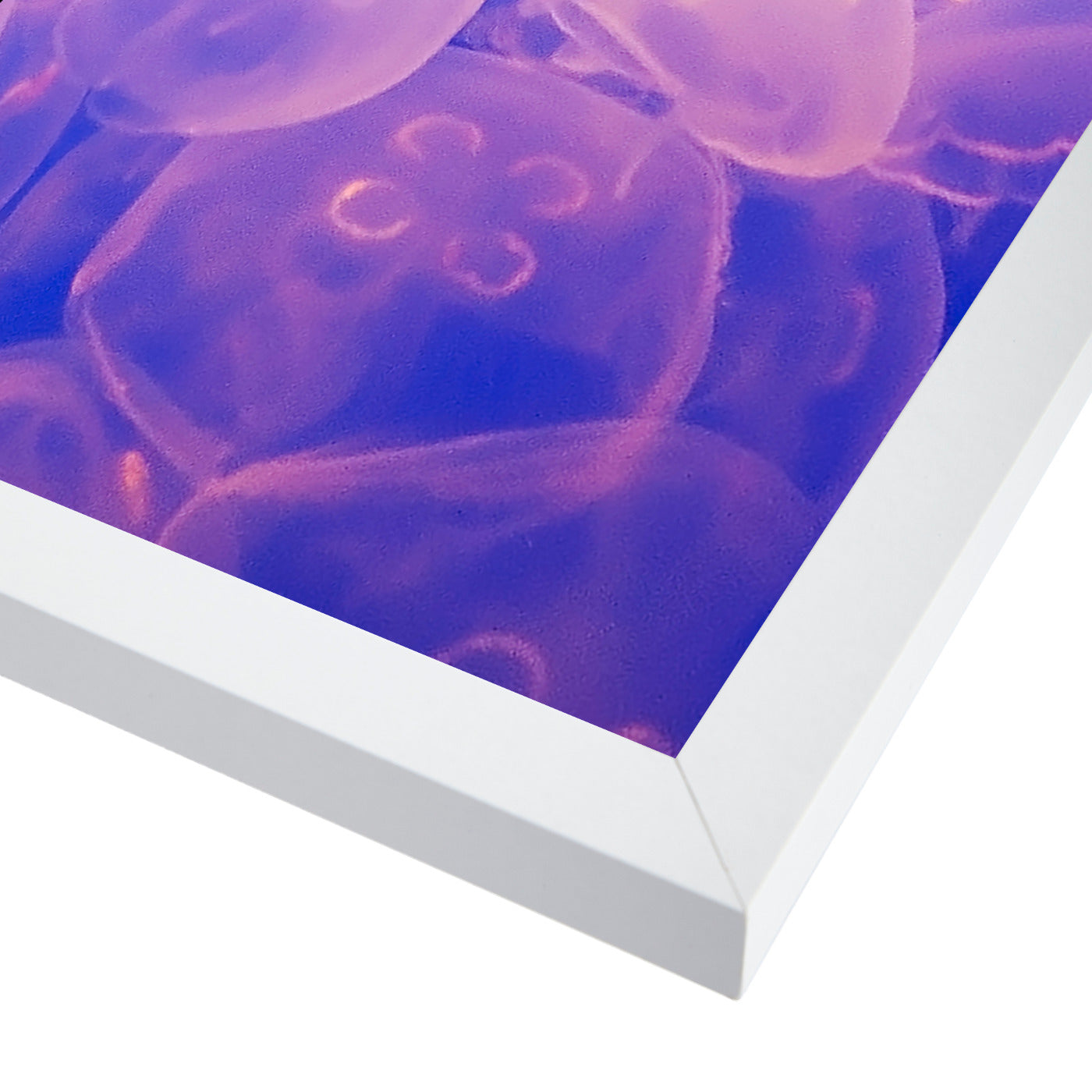 Jellyfish2 by Amanda Abel - White Framed Print - Wall Art - Americanflat