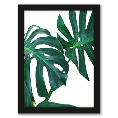 Monstera Leaves by Tanya Shumkina - Black Framed Print - Wall Art - Americanflat