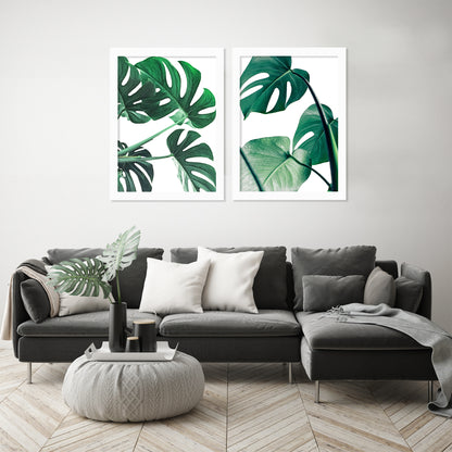 Monstera Deliciosa by Tanya Shumkina - 2 Piece Framed Print Set - Americanflat