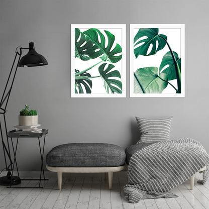 Monstera Deliciosa by Tanya Shumkina - 2 Piece Framed Print Set - Americanflat