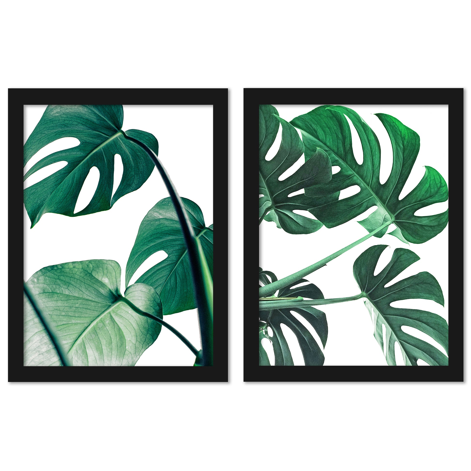 Monstera Deliciosa by Tanya Shumkina - 2 Piece Framed Print Set - Americanflat