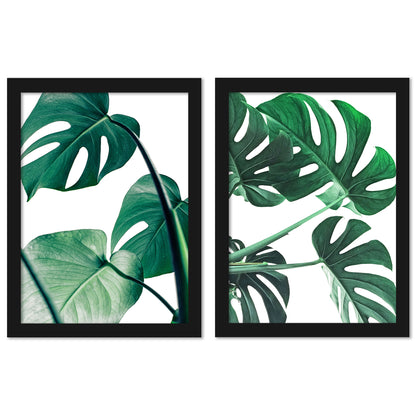 Monstera Deliciosa by Tanya Shumkina - 2 Piece Framed Print Set - Americanflat