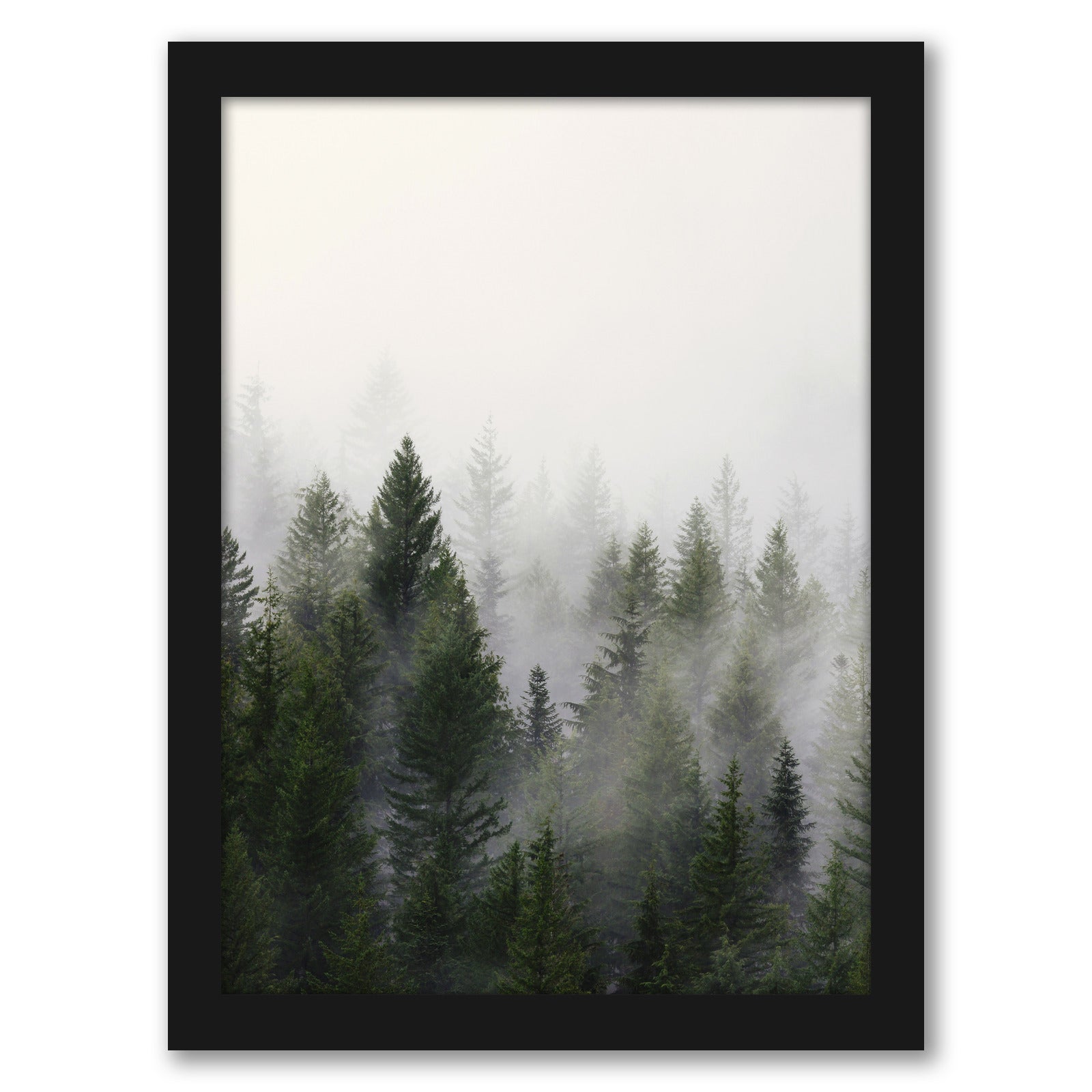 Misty Forest by Tanya Shumkina - Black Framed Print - Wall Art - Americanflat