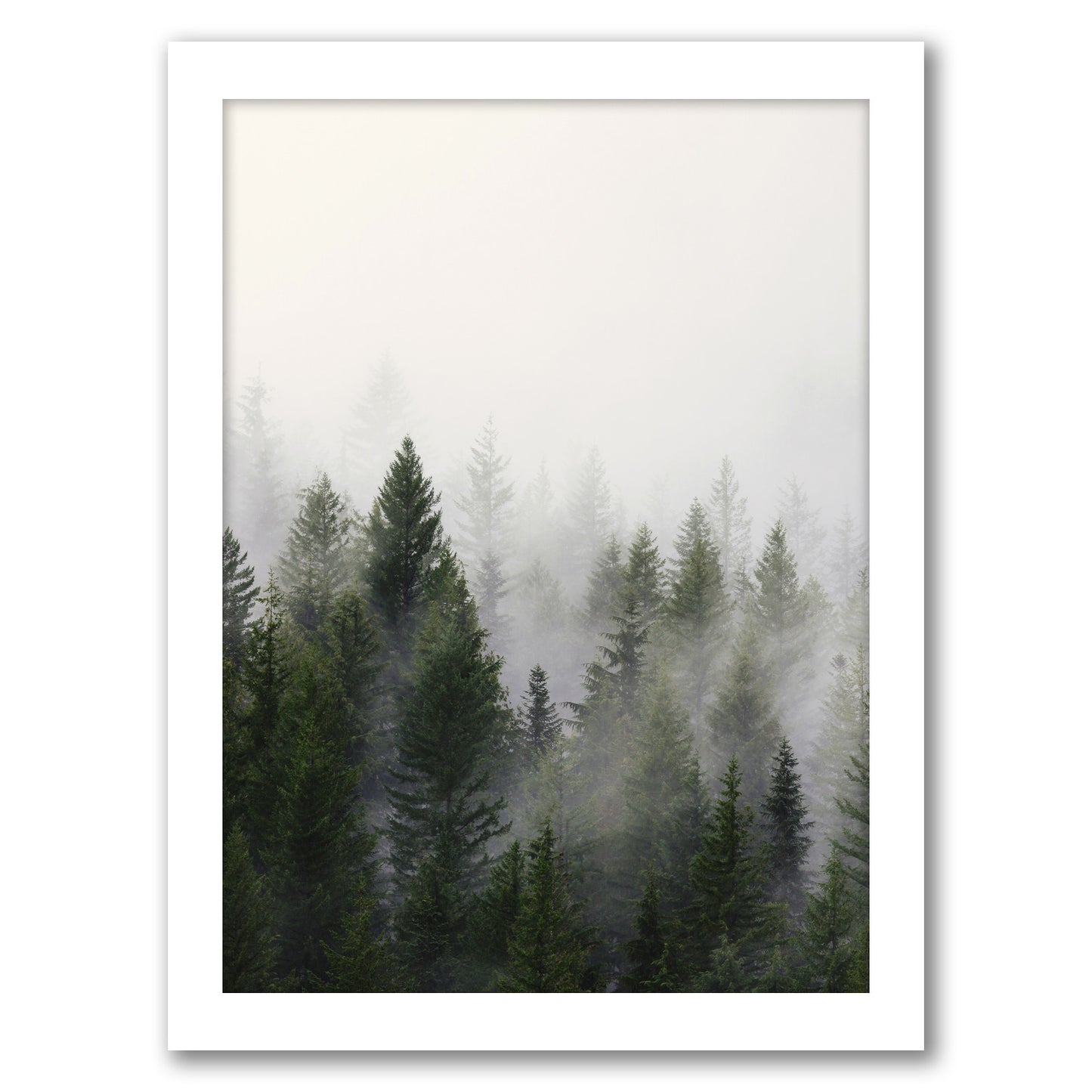 Misty Forest by Tanya Shumkina - White Framed Print - Wall Art - Americanflat