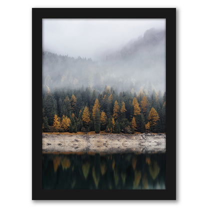 Fall Forest by Tanya Shumkina - Black Framed Print - Wall Art - Americanflat