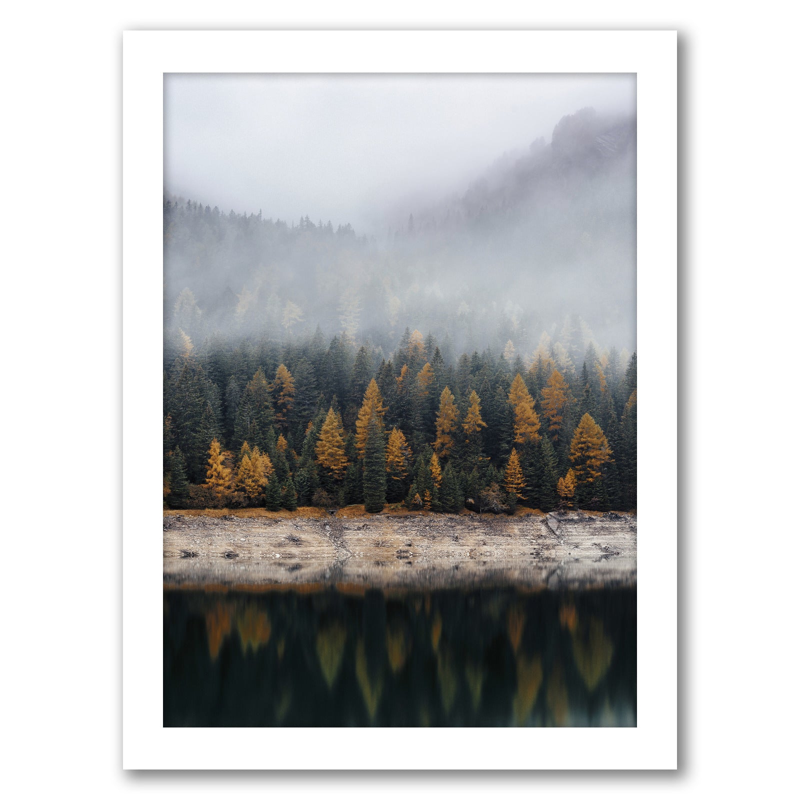 Fall Forest by Tanya Shumkina - White Framed Print - Wall Art - Americanflat