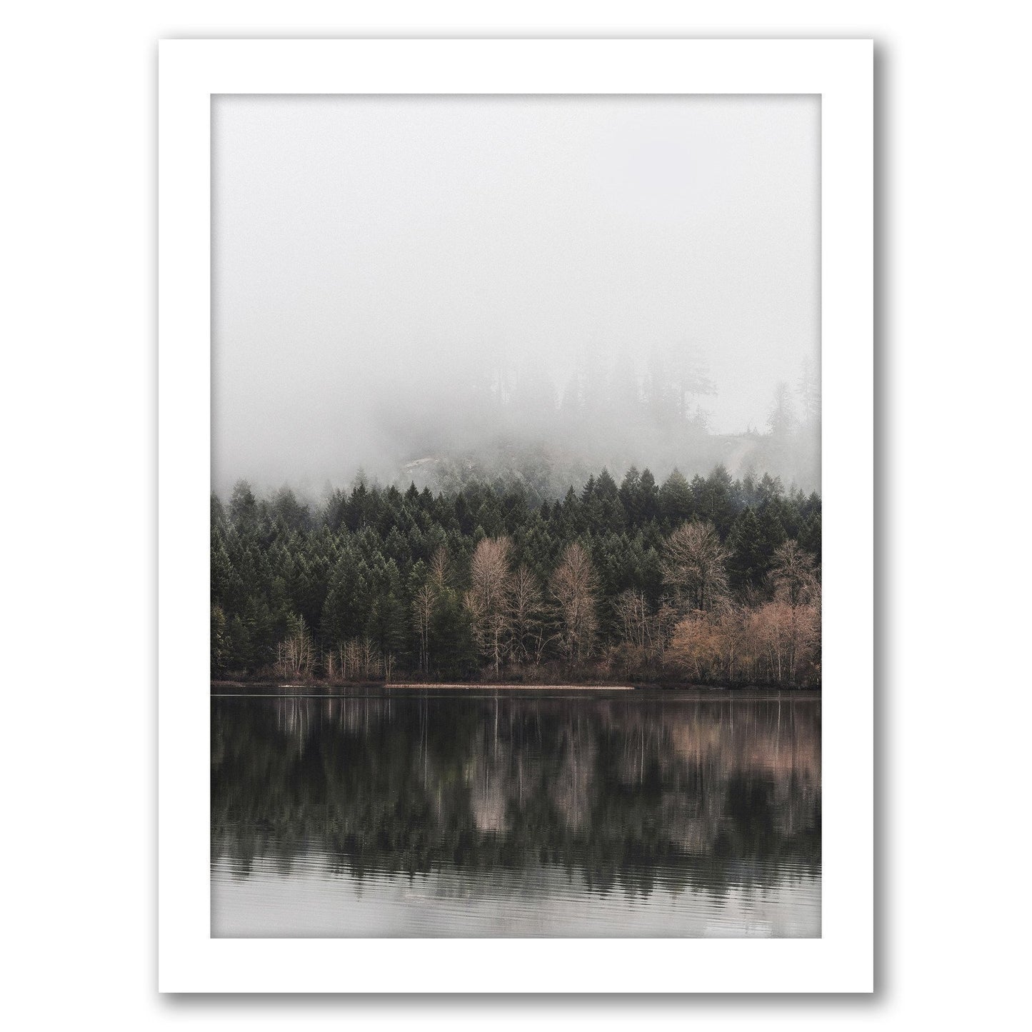 Autumn Fog by Tanya Shumkina - White Framed Print - Wall Art - Americanflat