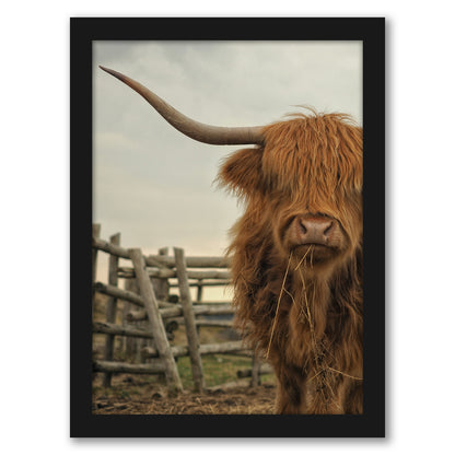 Cow Photo by Tanya Shumkina - Black Framed Print - Wall Art - Americanflat