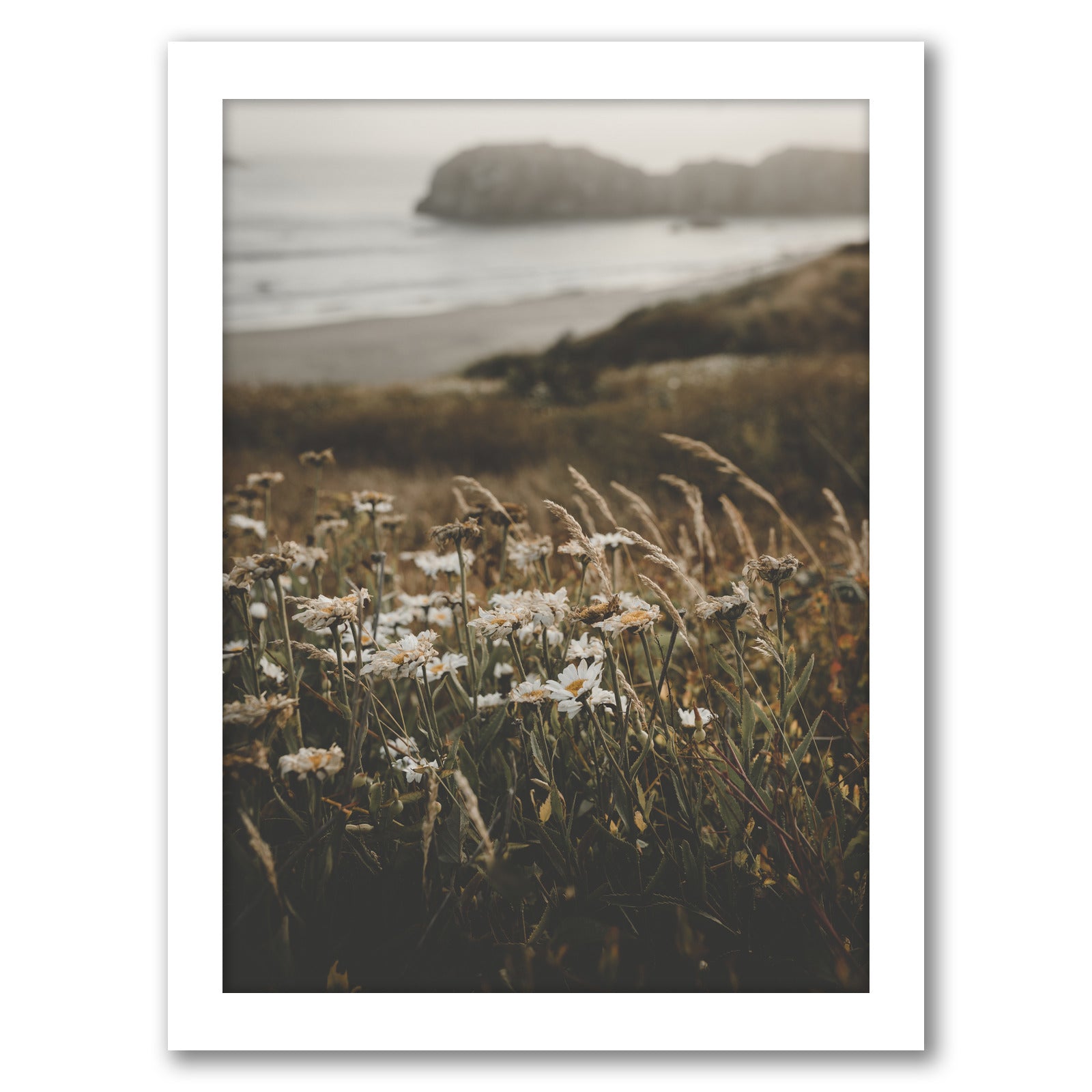 Meadow by Tanya Shumkina - White Framed Print - Wall Art - Americanflat