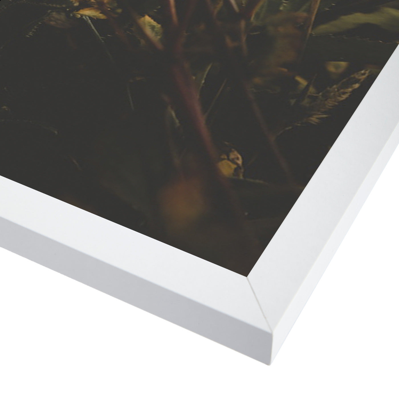 Meadow by Tanya Shumkina - White Framed Print - Wall Art - Americanflat
