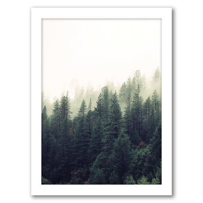 Forest Art by Tanya Shumkina - Framed Print - Americanflat