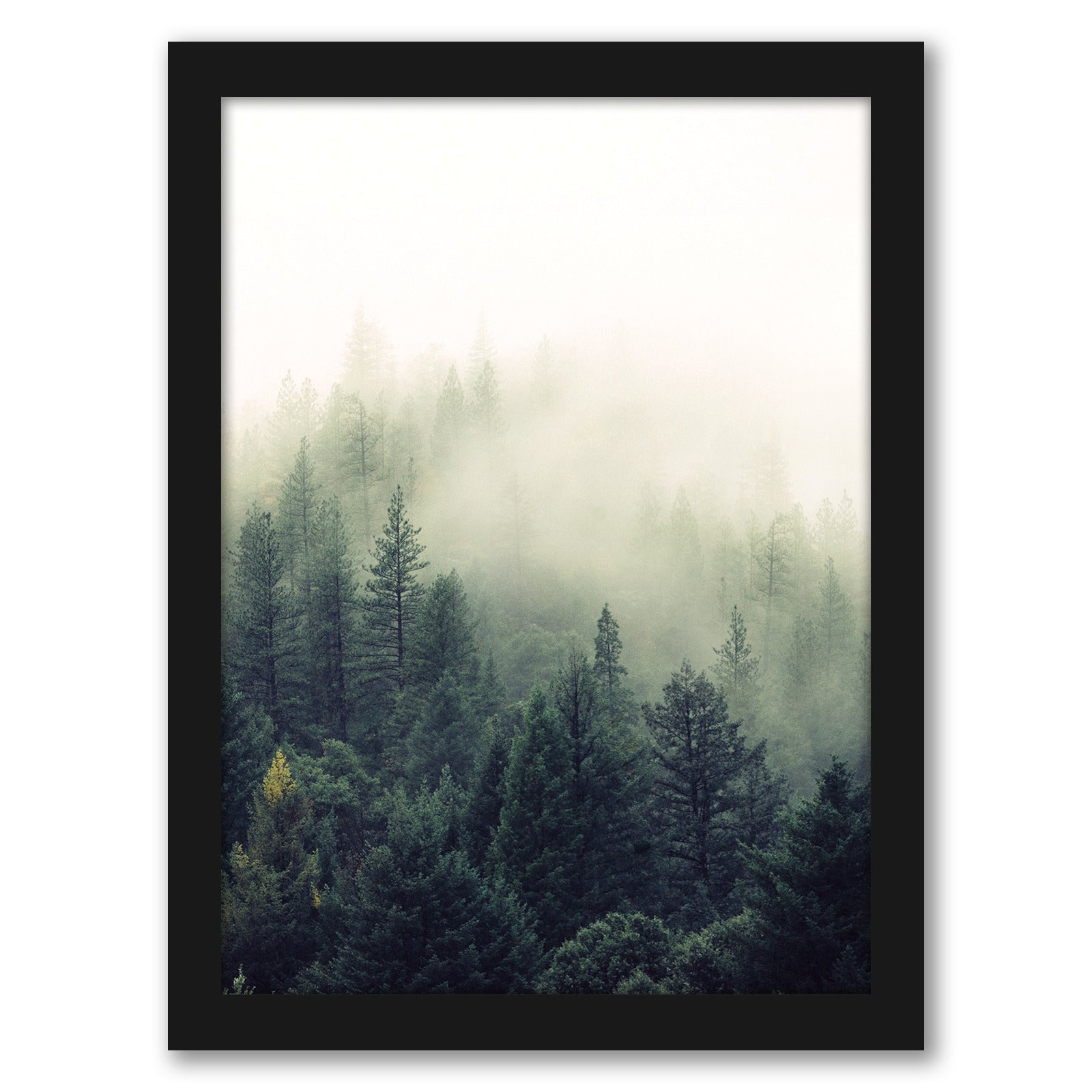 Forest Greenery by Tanya Shumkina - Black Framed Print - Wall Art - Americanflat