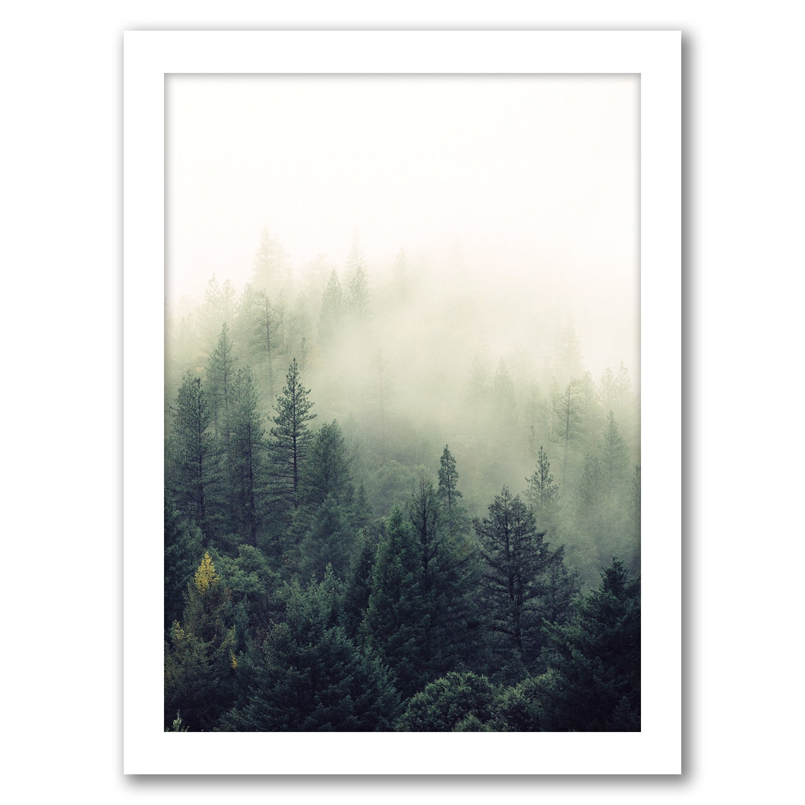Forest Greenery by Tanya Shumkina - White Framed Print - Wall Art - Americanflat