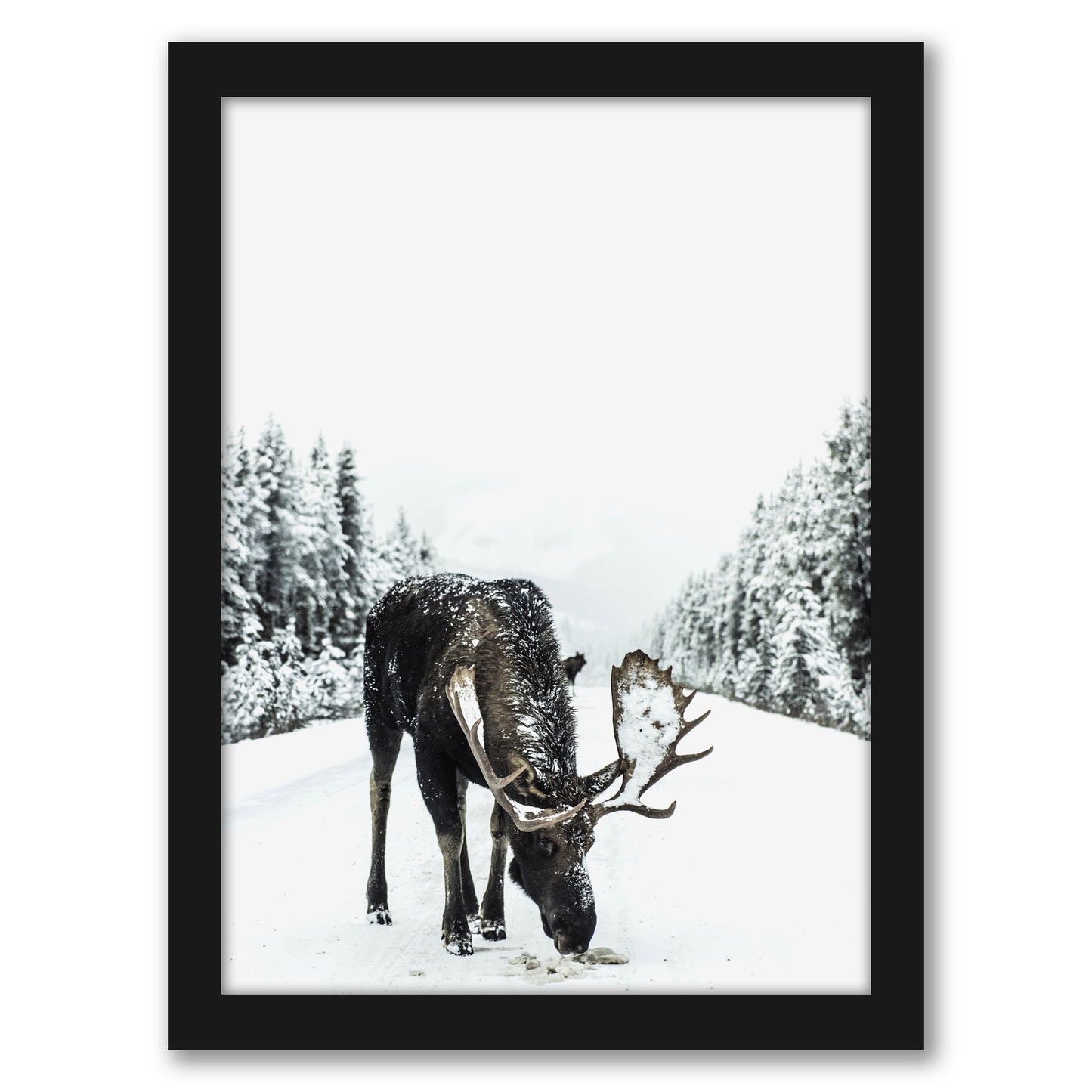 Moose by Tanya Shumkina - Black Framed Print - Wall Art - Americanflat