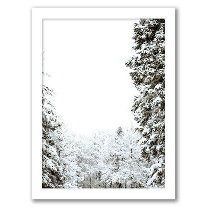 Winter In Forest by Tanya Shumkina - Framed Print - Americanflat