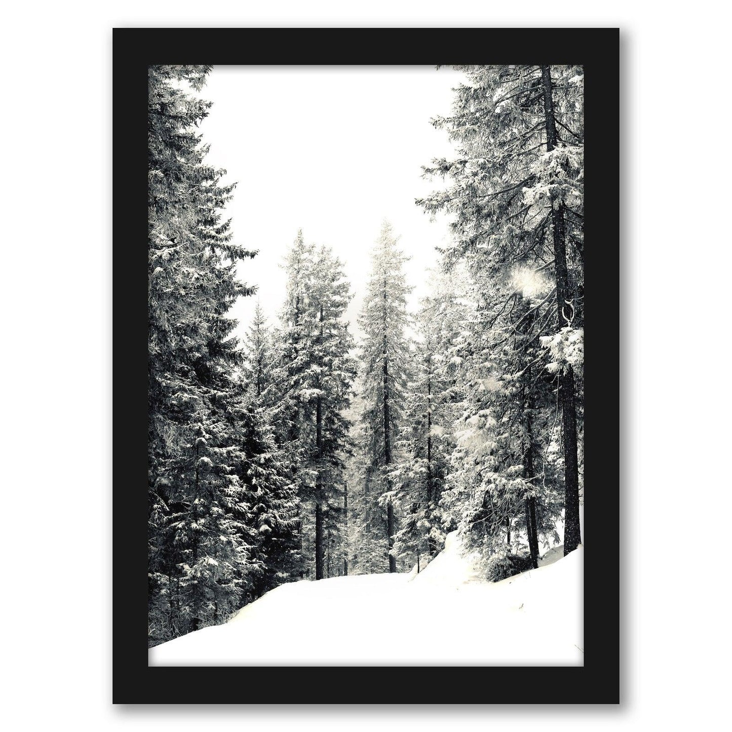 Snowy by Tanya Shumkina - Black Framed Print - Wall Art - Americanflat