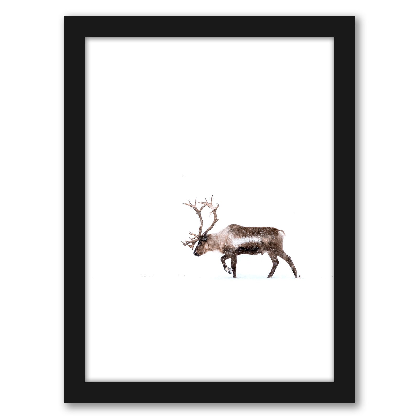 Deer by Tanya Shumkina - Black Framed Print - Wall Art - Americanflat
