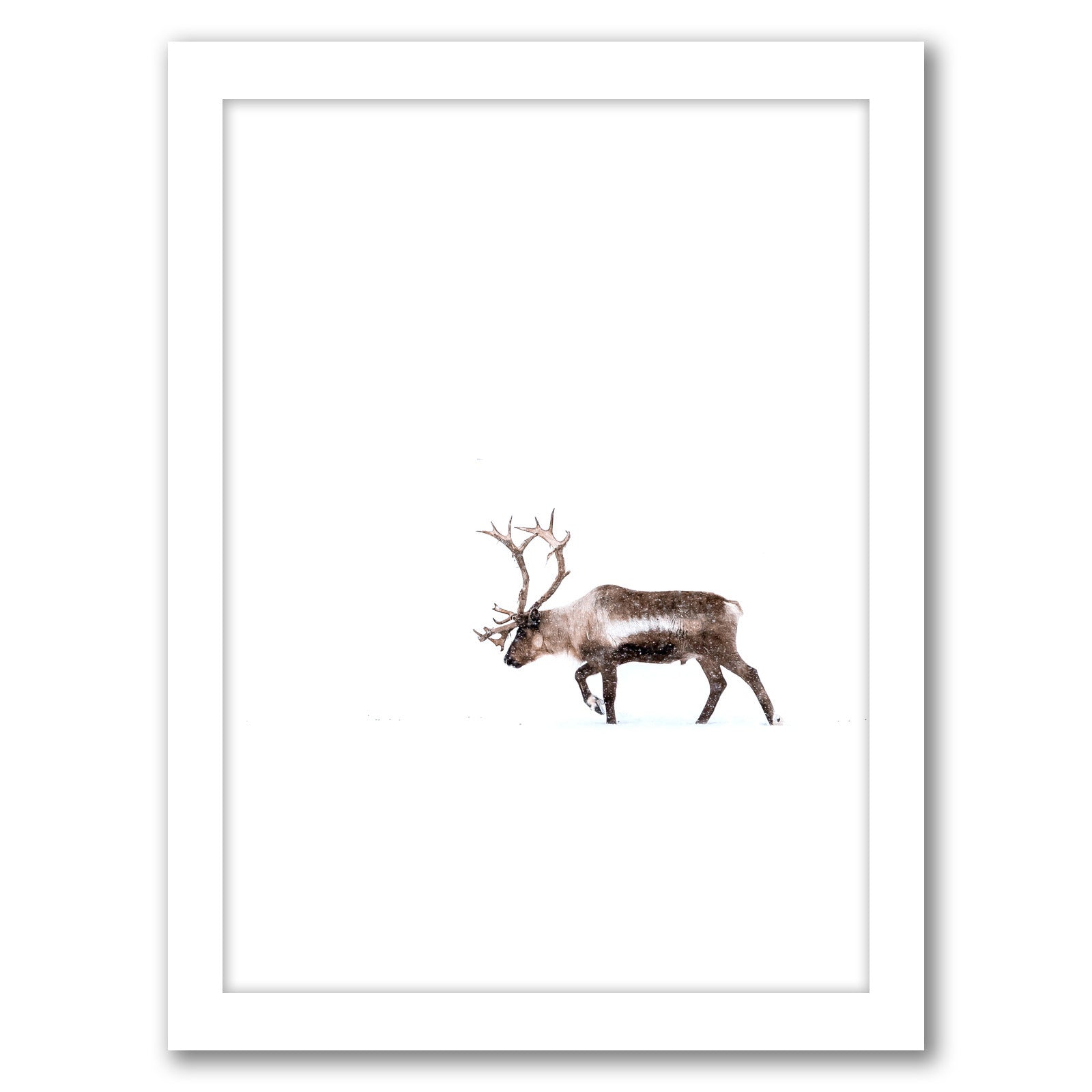 Deer by Tanya Shumkina - White Framed Print - Wall Art - Americanflat