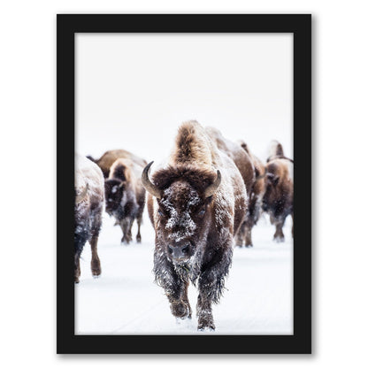 Bison Wall Art by Tanya Shumkina - Black Framed Print - Wall Art - Americanflat