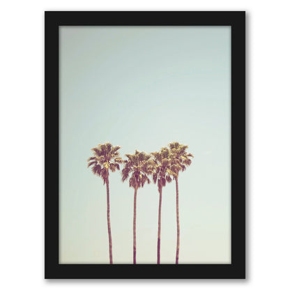 Beach Palm Photo by Tanya Shumkina - Black Framed Print - Wall Art - Americanflat