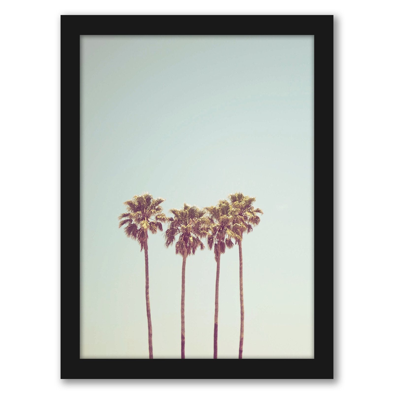 Beach Palm Photo by Tanya Shumkina - Black Framed Print - Wall Art - Americanflat