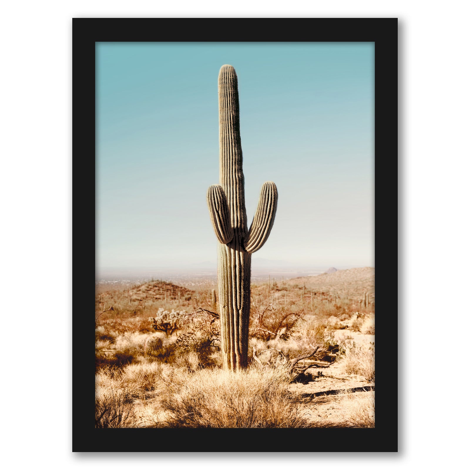 Desert Cactus Photo by Tanya Shumkina - Black Framed Print - Wall Art - Americanflat