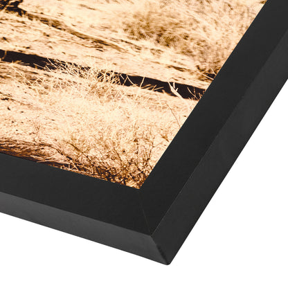 Desert Cactus Photo by Tanya Shumkina - Black Framed Print - Wall Art - Americanflat