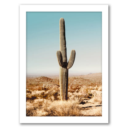 Desert Cactus Photo by Tanya Shumkina - White Framed Print - Wall Art - Americanflat
