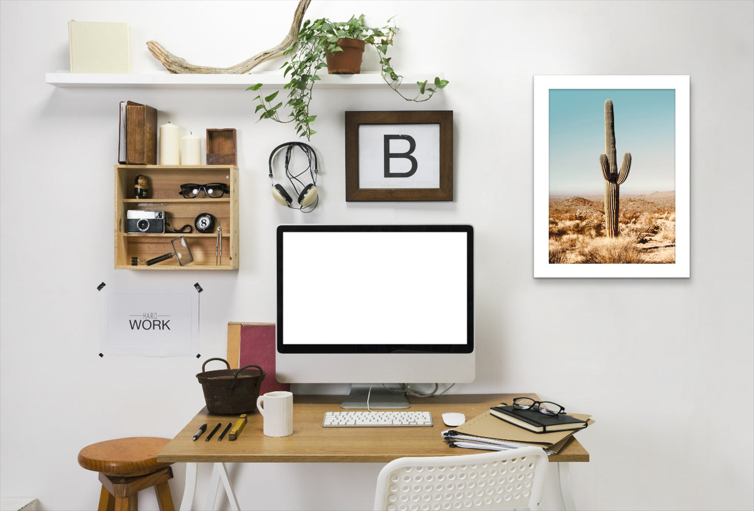 Desert Cactus Photo by Tanya Shumkina - White Framed Print - Wall Art - Americanflat