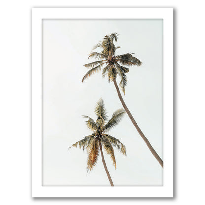 Palm Photo by Tanya Shumkina - White Framed Print - Wall Art - Americanflat