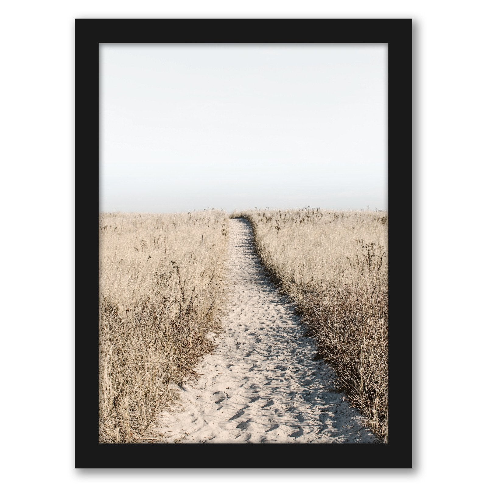 Beach Path Poster by Tanya Shumkina - Black Framed Print - Wall Art - Americanflat