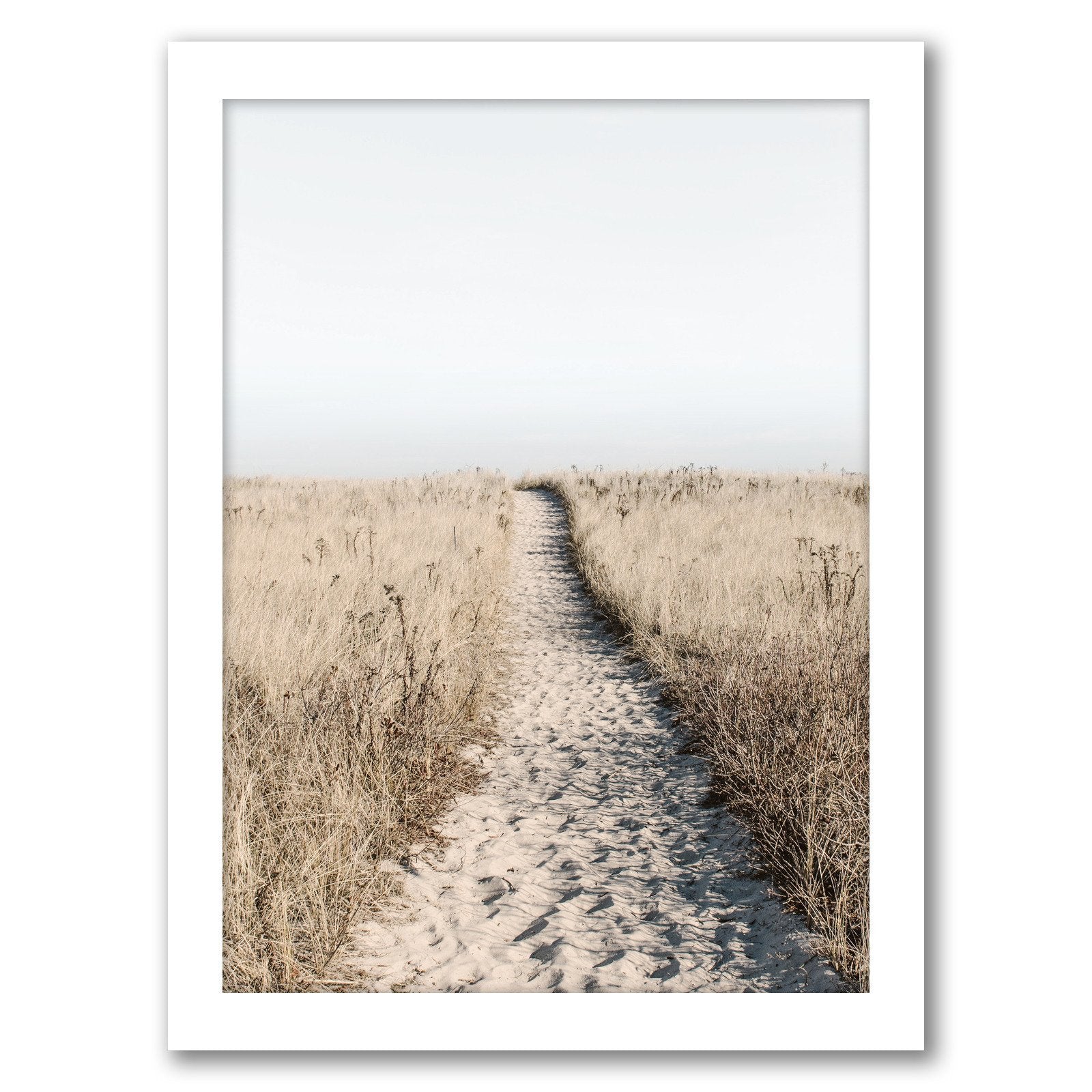Beach Path Poster by Tanya Shumkina - White Framed Print - Wall Art - Americanflat