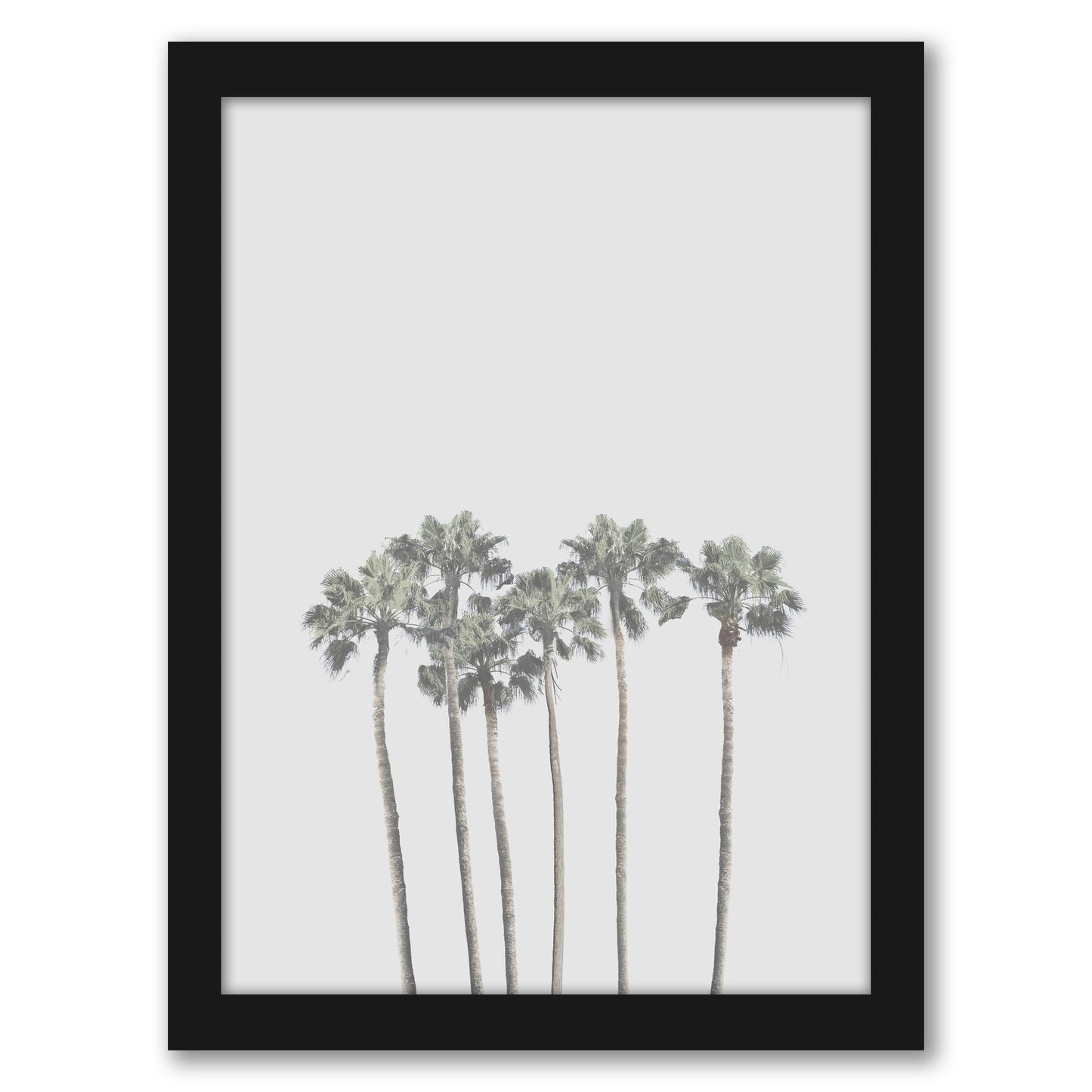 Tropical Palm Poster by Tanya Shumkina - Black Framed Print - Wall Art - Americanflat
