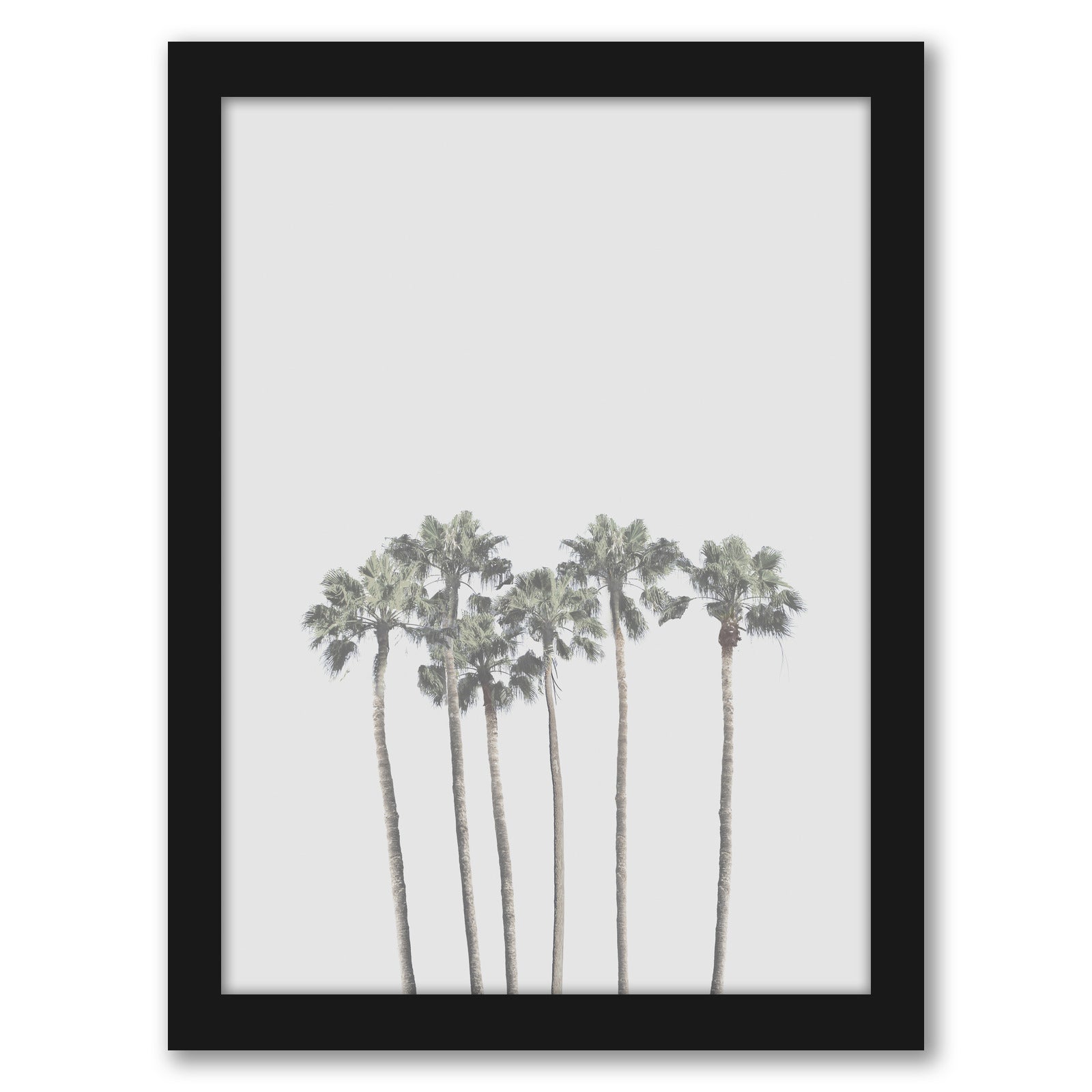 Tropical Palm Poster by Tanya Shumkina - Black Framed Print - Wall Art - Americanflat