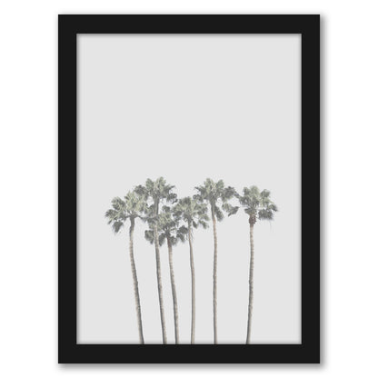 Tropical Palm Poster by Tanya Shumkina - Black Framed Print - Wall Art - Americanflat