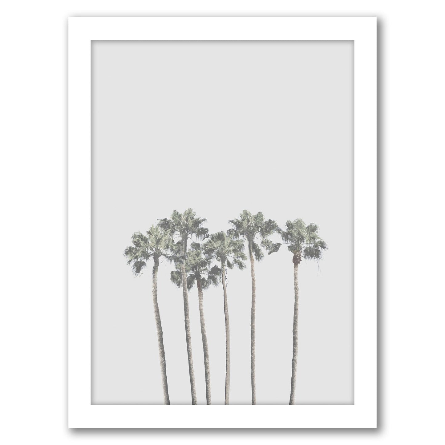Tropical Palm Poster by Tanya Shumkina - Framed Print - Americanflat