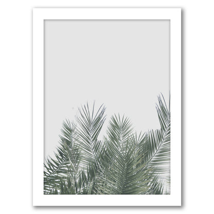 Tropical Palm Leaf Poster by Tanya Shumkina - White Framed Print - Wall Art - Americanflat