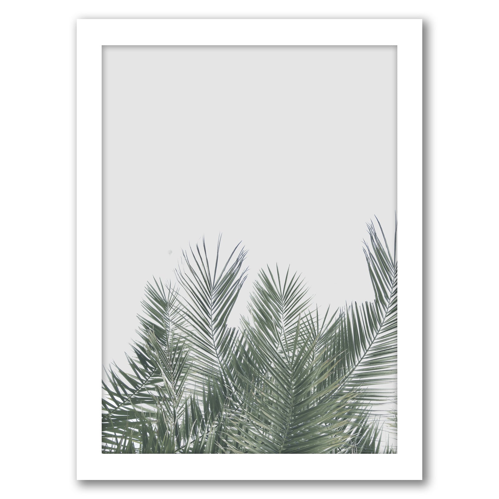 Tropical Palm Leaf Poster by Tanya Shumkina - White Framed Print - Wall Art - Americanflat