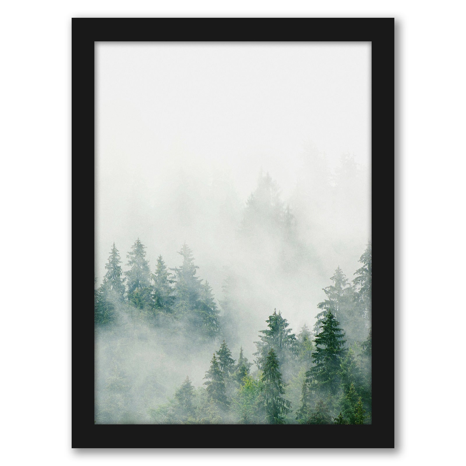 Nordic Forest Poster by Tanya Shumkina - Black Framed Print - Wall Art - Americanflat