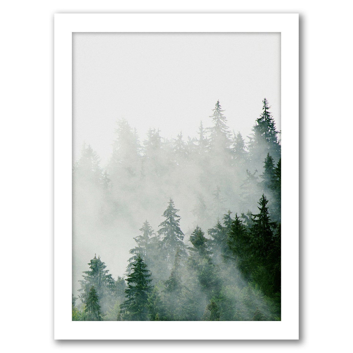 Green Scandinavian Spruce by Tanya Shumkina - White Framed Print - Wall Art - Americanflat