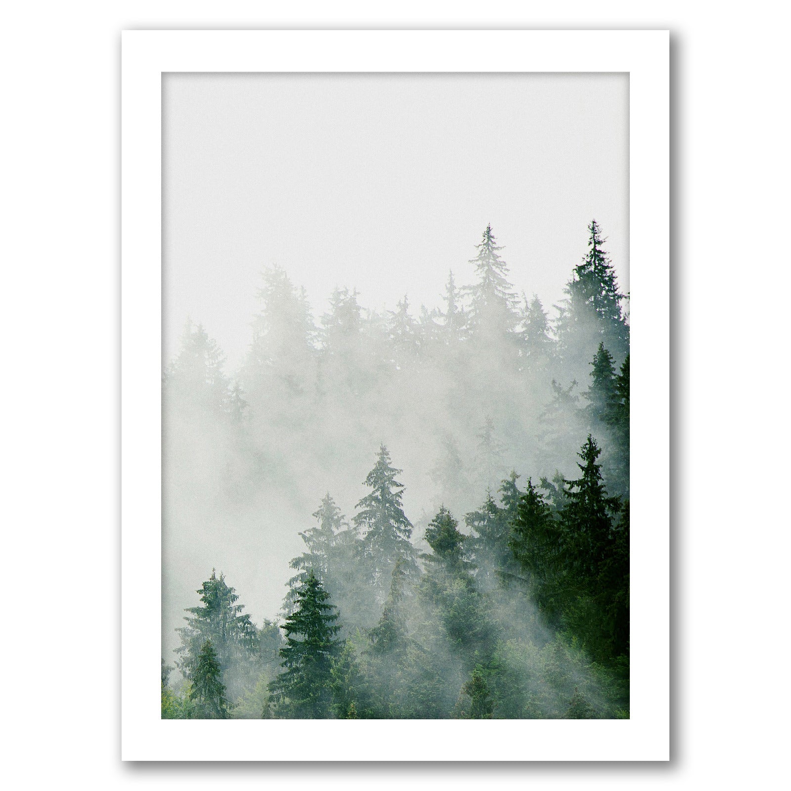 Green Scandinavian Spruce by Tanya Shumkina - White Framed Print - Wall Art - Americanflat