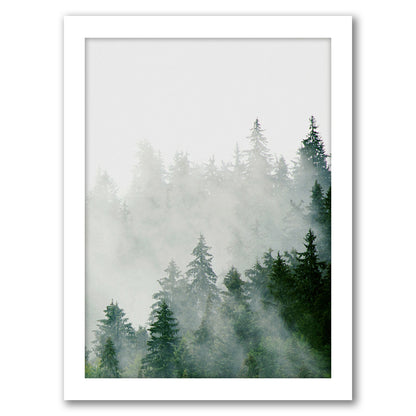 Green Scandinavian Spruce by Tanya Shumkina - White Framed Print - Wall Art - Americanflat