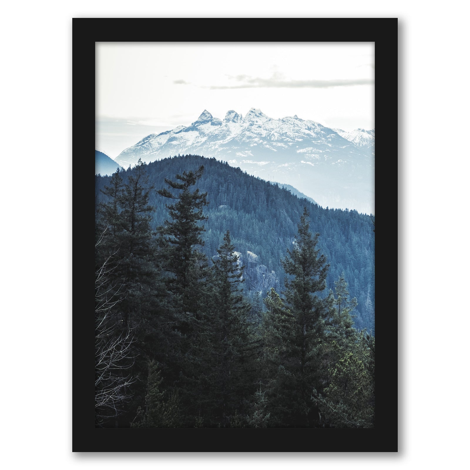 Nordic Landscape by Tanya Shumkina - Black Framed Print - Wall Art - Americanflat