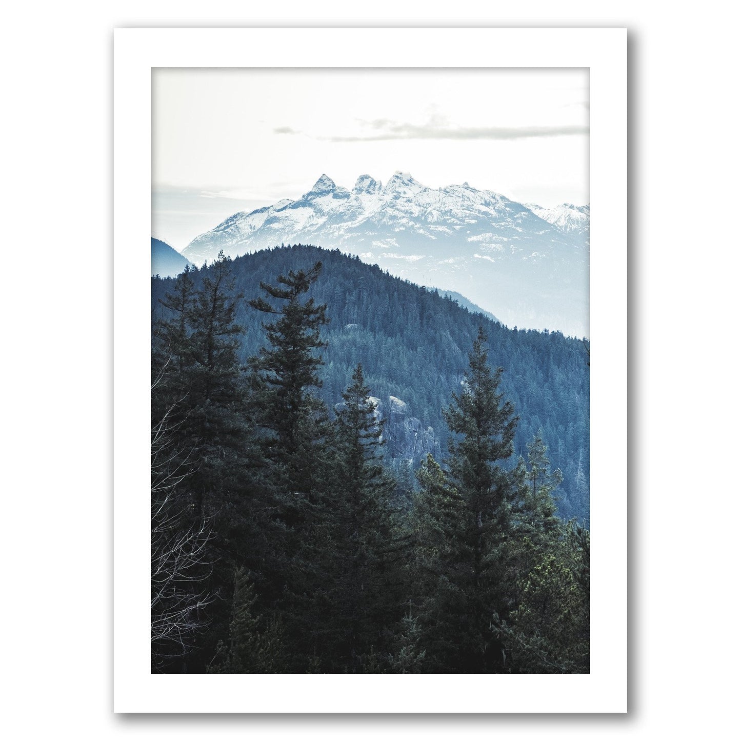 Nordic Landscape by Tanya Shumkina - Framed Print - Americanflat