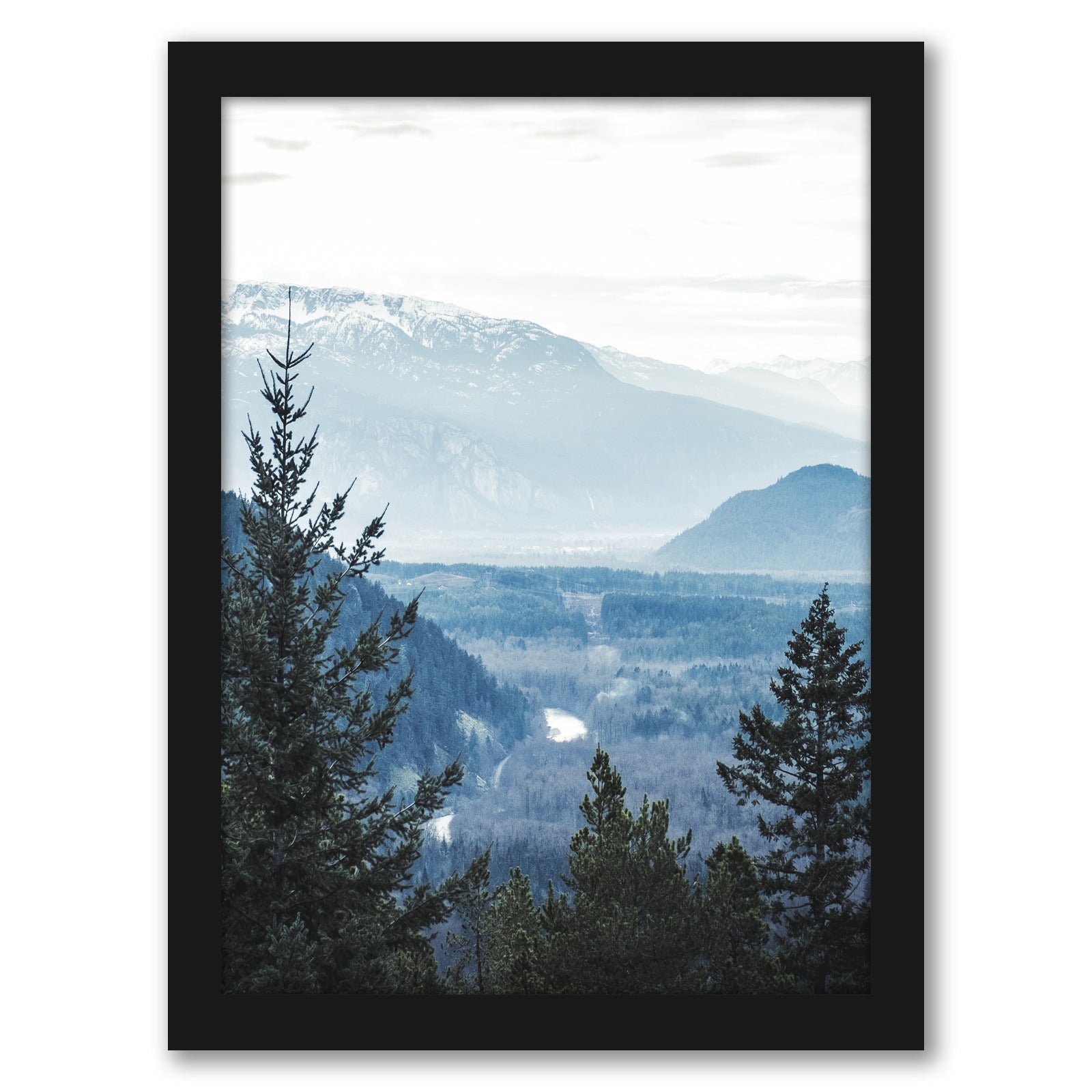 Navy Blue Foggy Trees by Tanya Shumkina - Black Framed Print - Wall Art - Americanflat