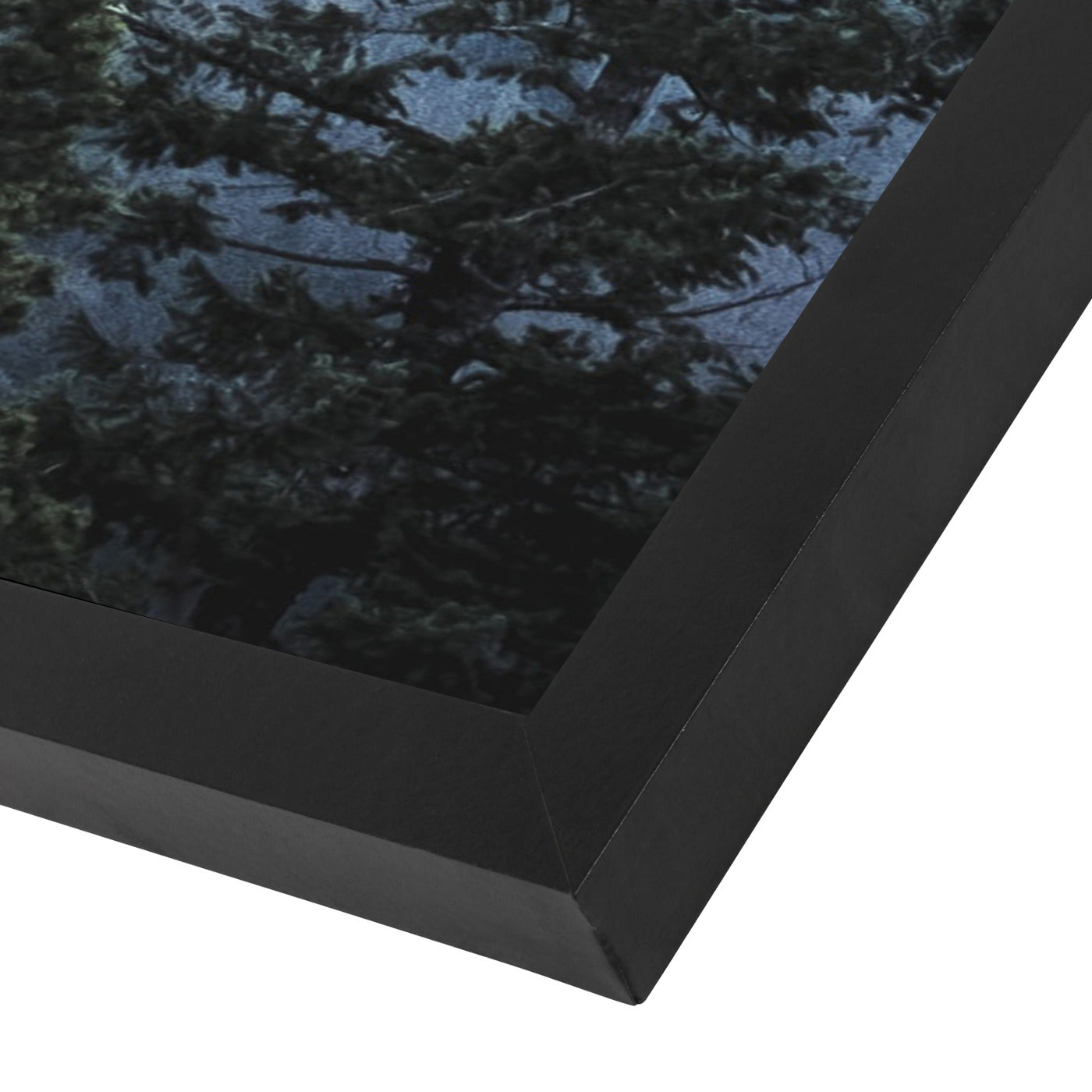 Navy Blue Foggy Trees by Tanya Shumkina - Black Framed Print - Wall Art - Americanflat
