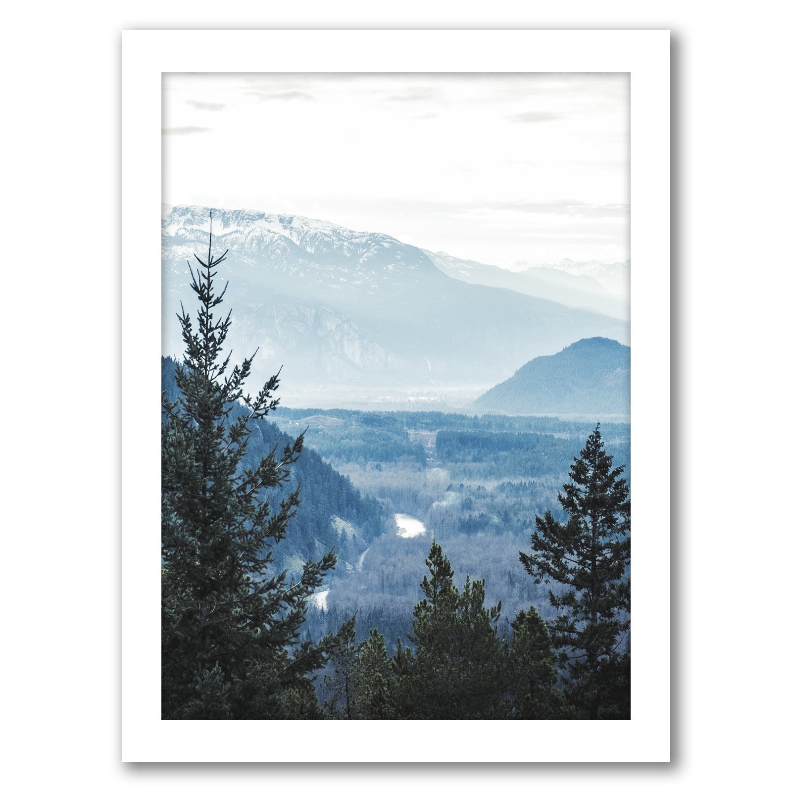 Navy Blue Foggy Trees by Tanya Shumkina - White Framed Print - Wall Art - Americanflat