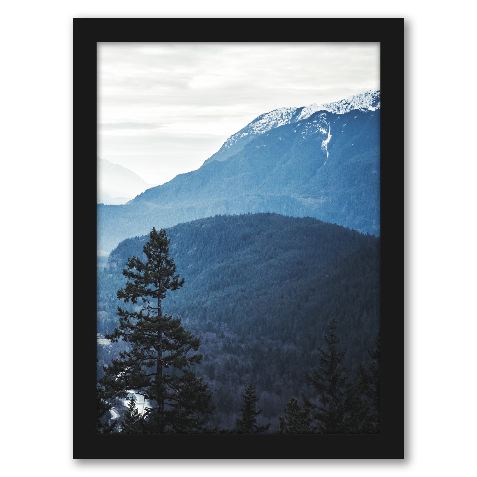 Nature Photo Modern Indigo by Tanya Shumkina - Black Framed Print - Wall Art - Americanflat
